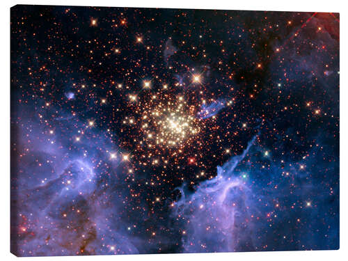 Canvas-taulu Open star cluster NGC 3603, HST image