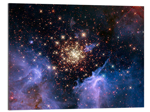 Gallery print Open star cluster NGC 3603, HST image