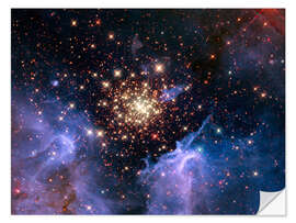 Wall sticker Open star cluster NGC 3603, HST image