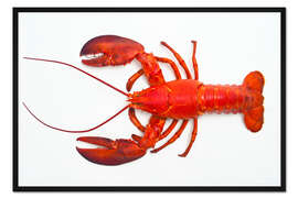 Gerahmter Kunstdruck Roter Hummer