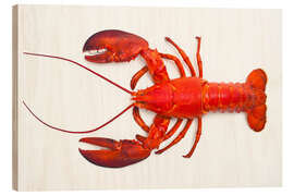 Wood print Atlantic lobster