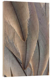 Wood print Crane Feathers