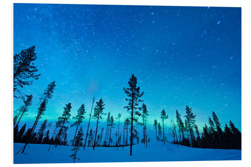 Hartschaumbild Nordlichter über Baumkronen