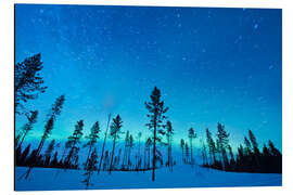 Magnettafel Nordlichter über Baumkronen