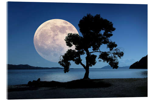 Akrylbillede Moon rising over the sea