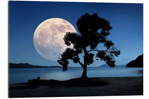 Galleritryck Moon rising over the sea