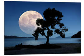 Magnettafel Mond steigt über das Meer