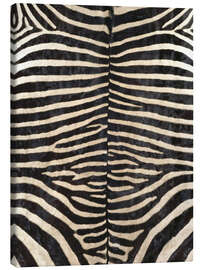 Canvas-taulu  Zebra skin