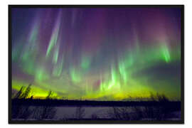Gerahmter Kunstdruck Nordlichter in Finnland