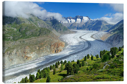 Canvas-taulu Aletsch Glacier