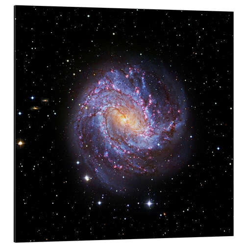 Aluminiumtavla Southern Pinwheel Galaxy, Hubble image