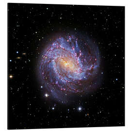 Aluminium print Southern Pinwheel Galaxy, Hubble image