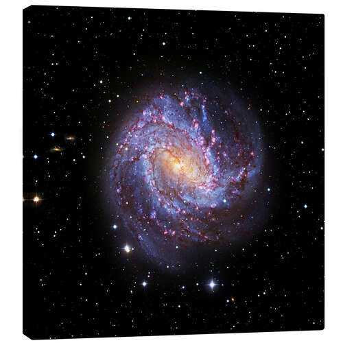 Canvastavla Southern Pinwheel Galaxy, Hubble image