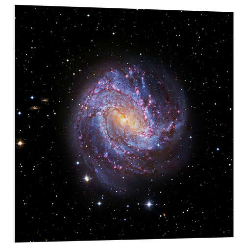 Print på skumplade Southern Pinwheel Galaxy, Hubble image