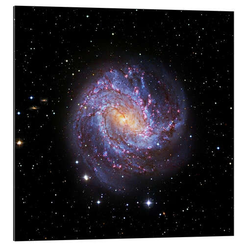 Gallery print Southern Pinwheel Galaxy, Hubble image