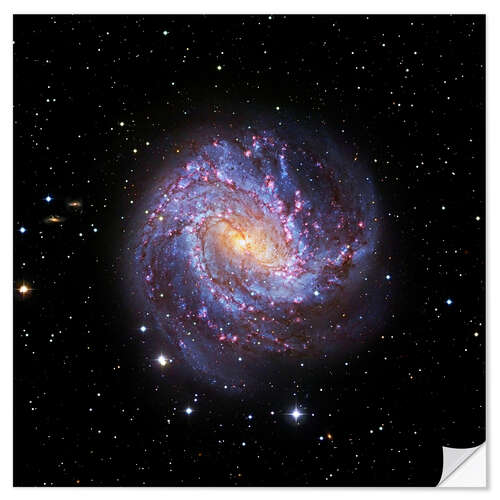 Selvklebende plakat Southern Pinwheel Galaxy, Hubble image