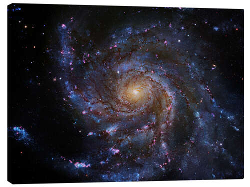 Canvas print Pinwheel Galaxy (M101), Hubble image