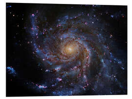 Foam board print Pinwheel Galaxy (M101), Hubble image