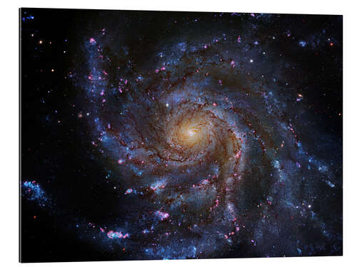 Galleriprint Pinwheel Galaxy (M101), Hubble image