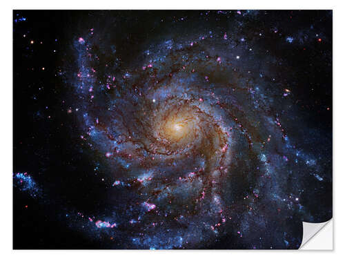 Muursticker Pinwheel Galaxy (M101), Hubble image