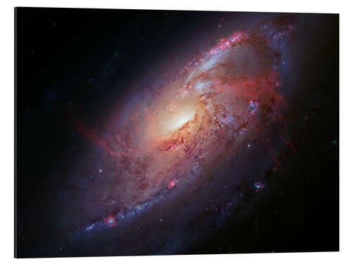 Aluminium print Spiral galaxy M106