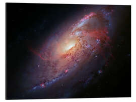 Aluminiumtavla Spiral galaxy M106