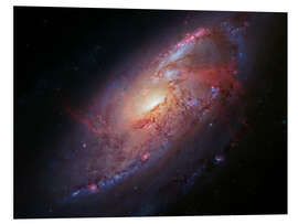 Bilde på skumplate Spiral galaxy M106