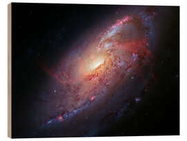 Quadro de madeira Spiral galaxy M106