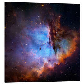 Quadro em acrílico  Starbirth region (NGC 281) - Robert Gendler