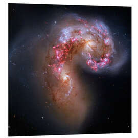 Aluminiumtavla Antennae colliding galaxies