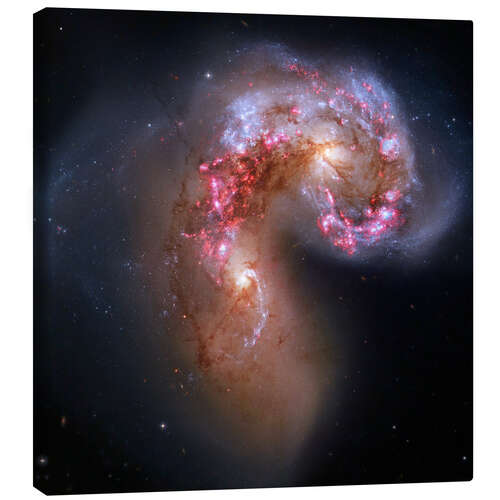 Stampa su tela Antennae colliding galaxies