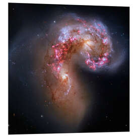 Foam board print Antennae colliding galaxies