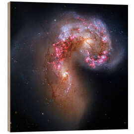 Quadro de madeira Antennae colliding galaxies