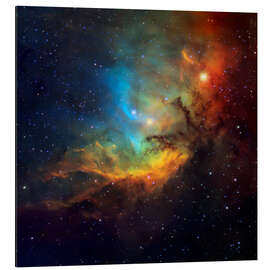 Aluminium print Tulip nebula