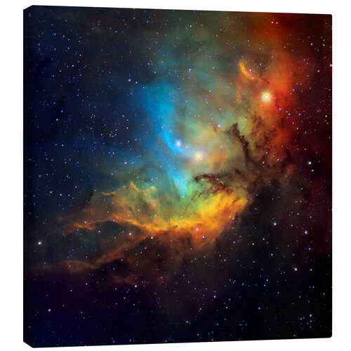 Canvas print Tulip nebula