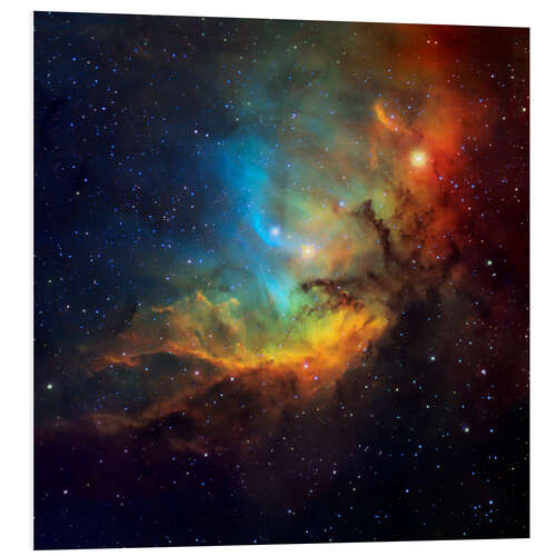 Bilde på skumplate Tulip nebula