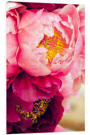 Foam board print Peony