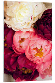 Magnettafel Pfingstrosen