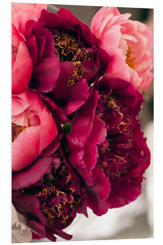 Foam board print Purple Peonies