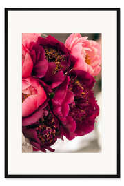 Gerahmter Kunstdruck Geöffnete Pfingstrosen