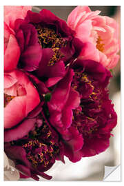 Selvklebende plakat Purple Peonies