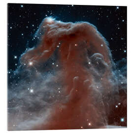 Acrylglasbild  Pferdekopfnebel, HST Bild - NASA