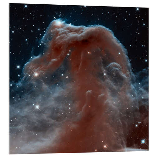 Foam board print Horsehead Nebula, HST image