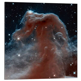 Gallery print Horsehead Nebula, HST image