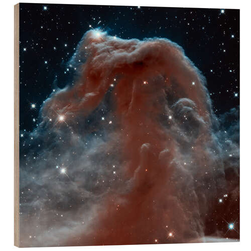 Wood print Horsehead Nebula, HST image