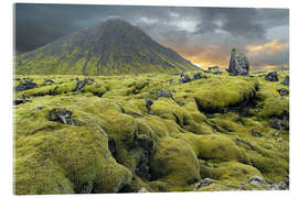 Cuadro de metacrilato Moss-covered lava field, Iceland