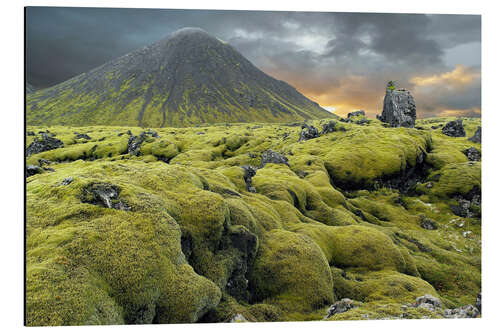 Alubild Bemoostes Lavafeld, Island
