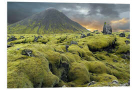 Obraz na PCV Moss-covered lava field, Iceland