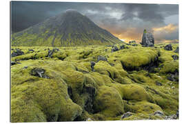 Gallery print Moss-covered lava field, Iceland