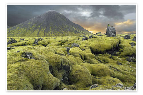 Plakat Moss-covered lava field, Iceland